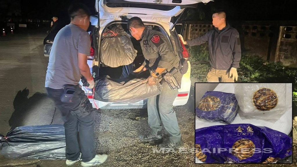 来自金三角的500公斤冰毒在清盛被查获-赌博论坛-博彩技巧-赌博策略论坛