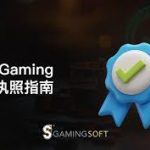 十三水特殊牌型速记口诀：助你轻松掌握赢牌秘诀-赌博论坛-博彩技巧-赌博策略论坛