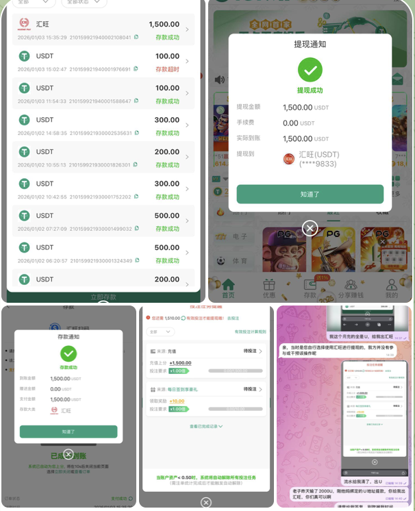 截屏2026-01-31 11.39.43